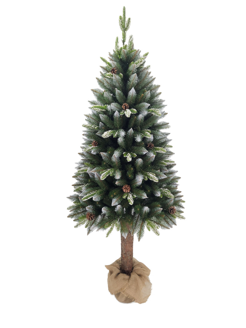 ŚWIERK DIAMENT   [ NA PNIU ]   [ PE 10% ]